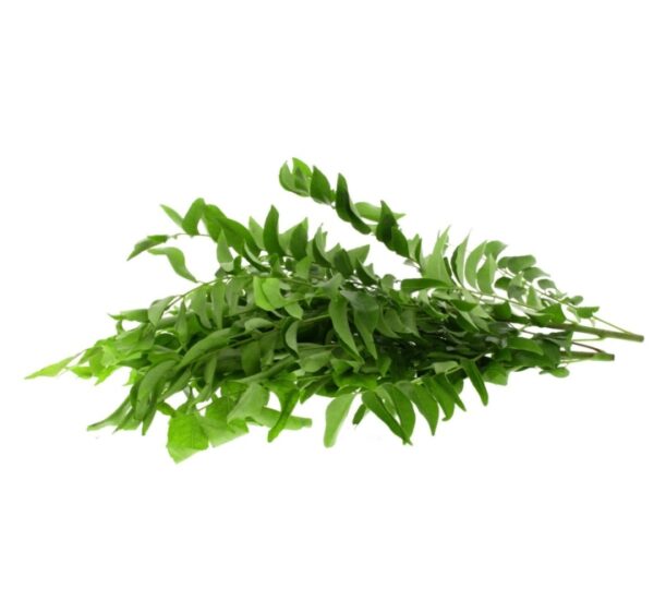 Curry-Leaves-India-1-bunch-793593-01