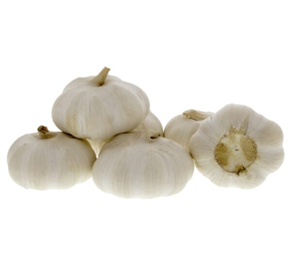 Garlic-Small-Packet-18862-02