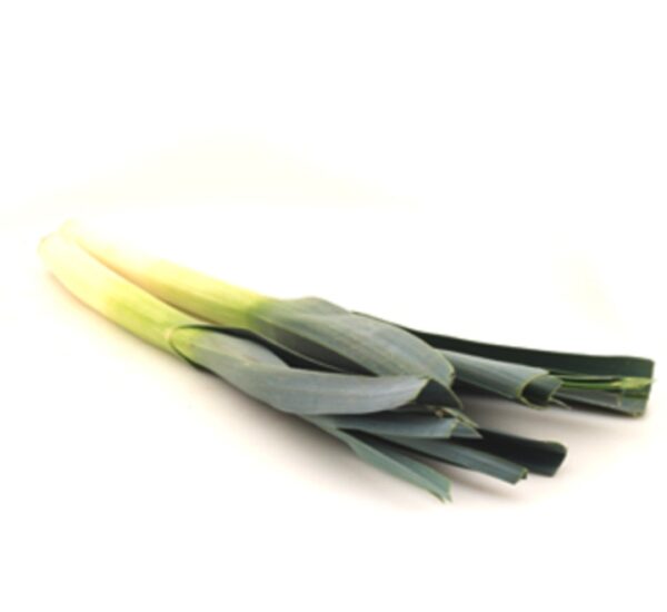 Leeks-1pc-18829-01