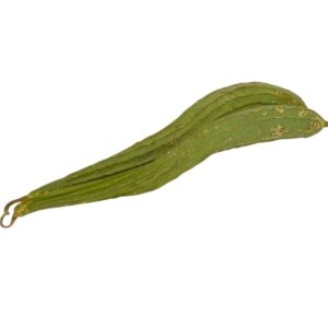Organic Sponge Gourd 500g
