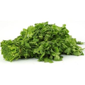 Coriander Leaves 1Pkt