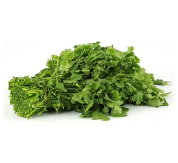 Coriander Leaves 1Pkt