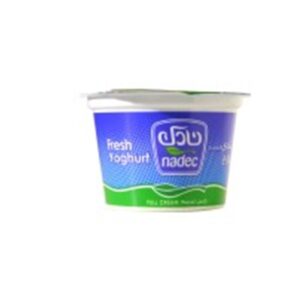 Nadec-Fresh-Yoghurt-Full-Fat-170gm