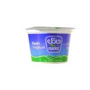 Nadec-Fresh-Yoghurt-Full-Fat-170gm