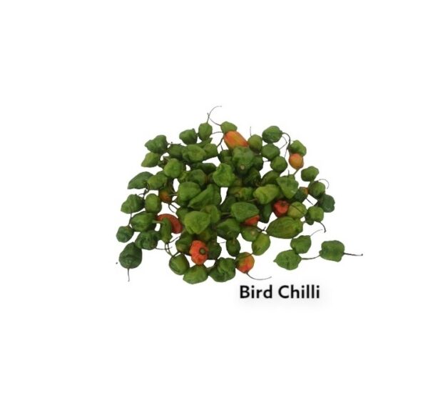 Bird-Round-Chilly