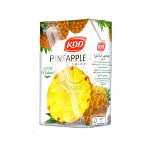 Kdd-Pineapple-Juice-250ml