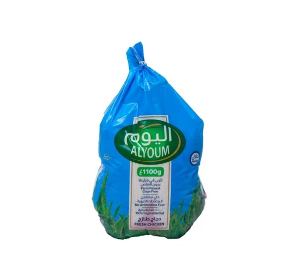 Alyoum-Chicken-Bag-11Kg-dkKDP6281101340545