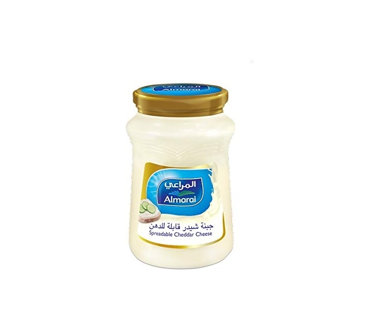 Atlantis-Cream-Cheese-Spread-500gm-dkKDP6281048050293
