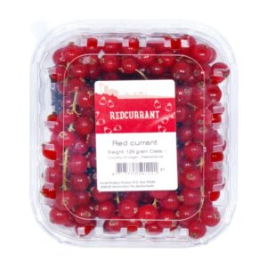 Red-Currant-Holland-1pkt