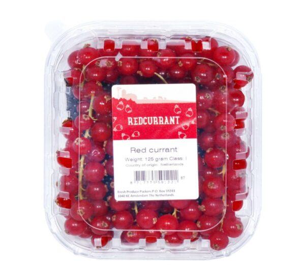 Red-Currant-Holland-1pkt
