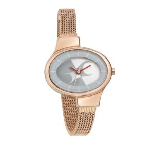 Fastrack-6015WM01-WoMens-Analog-Watch-Silver-Dial-Stainless-Steel-Rose-Gold-Mesh-Strap