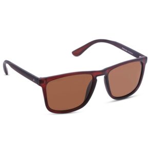 Fastrack-P407BR4P-Men-Wayfarer-Sunglasses-Brown