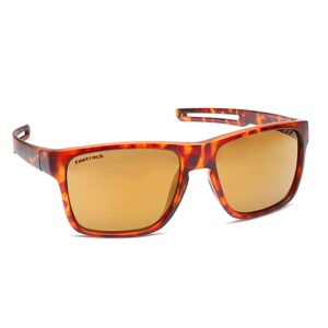 Fastrack-P415BR3-Men-Wayfarer-Sunglasses-Brown