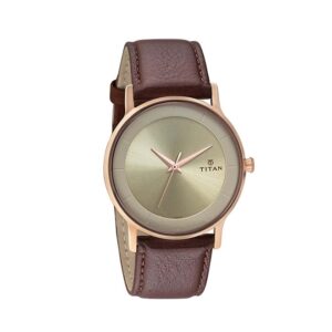 Titan-1672WL01-Mens-Watch-Classique-Collection-Analog-Champagne-Dial-Brown-Leather-Band