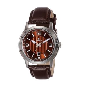 Titan-1730SL03-Mens-Watch-Classique-Collection-Analog-Brown-Dial-Brown-Leather-Band