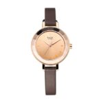 Titan-2575WL01-WoMens-Watch-Raga-Collection-Analog-Rose-Gold-Dial-Brown-Leather-Band