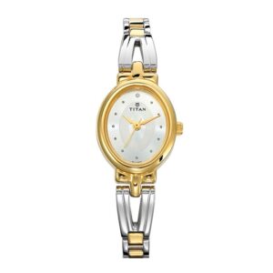 Titan-2594BM01-Womens-Watch-Karishma-Collection-Analog-Silver-Dial-Silver-Gold-Stainless-Band