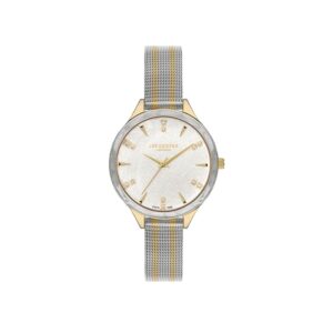 Lee-Cooper-LC07388-230-WoMens-Analog-Watch-Silver-Dial-Silver-Gold-Stainless-Steel-Mesh-Band