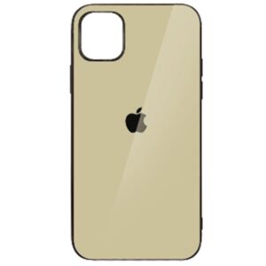 Hicool-Case-12-Pro-Gold