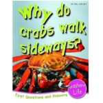 First-Question-And-Anwers-Sea-Shore-Life-Why-Do-Crabs-
