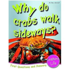 First-Question-And-Anwers-Sea-Shore-Life-Why-Do-Crabs-