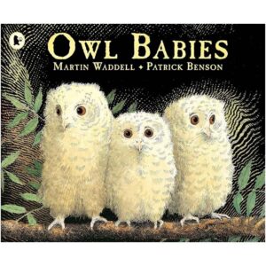 Owl-Babies