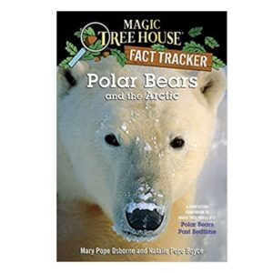 Polar-Bears-and-the-Arctic