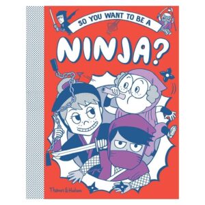 So-you-want-to-be-a-Ninja-Bruno-Vincent