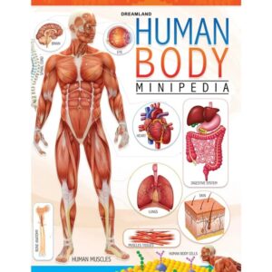 Human-Body-Minipedia-for-Kids