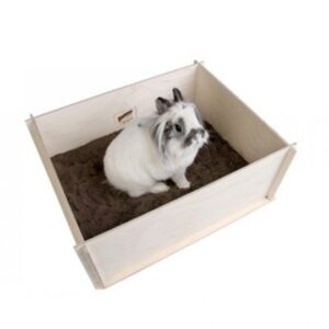 Bunny-Interactive-Digging-Box