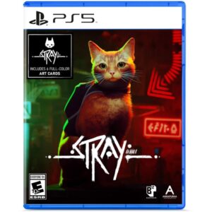 PS5 Stray