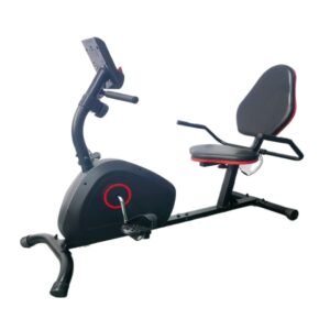 Indoor Magnetic Exercise Bike With Back Seat