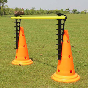 Adjustable Training Hurdle