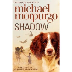 Shadow