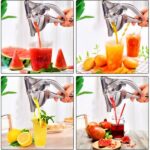 Lavish-Manual-Juicer-Stainless-Steel-Heavy-duty-Hand-Pressed-Fruit-And-Vegetable