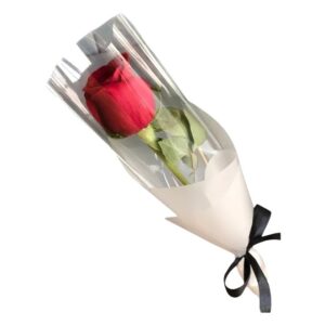 Single Rose / Single Rose In A Clear Plastic
