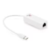 Bitcorez USB Type-C to Gigabit ethernet Adapter-BCTCNA1GW