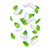 Gums & Mints