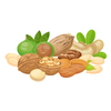 Nuts and Dates