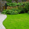 Outdoor & Garden
