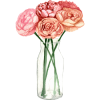 Vases