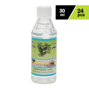 Al Jaser Mint Water buy online bahrain
