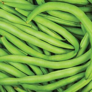 Beans Green buy online bahrain