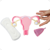 Feminine Hygiene