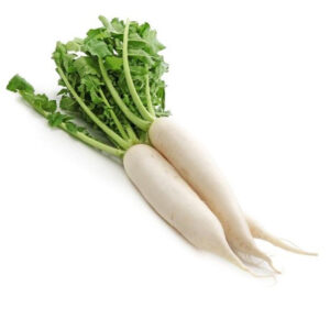 Radish White buy online bahrain