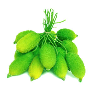 Spiny Gourd Bangladesh buy online bahrain