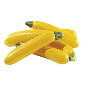 Zucchini Yellow buy online bahrain