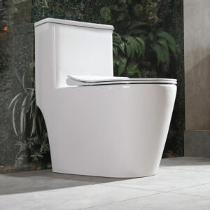 ailani-water-closet-69x40-1
