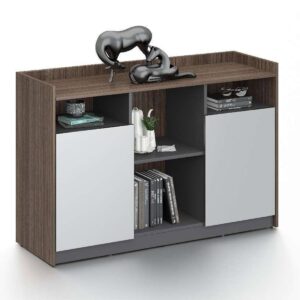 book-cabinet-wood-2-door-3