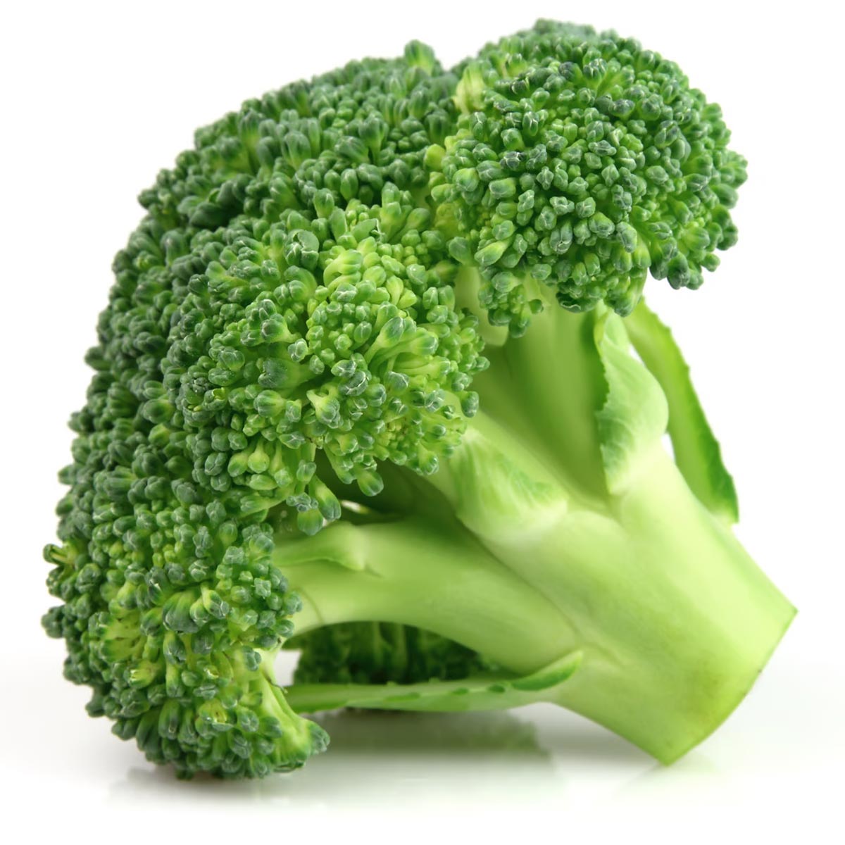 broccoli-bahrain